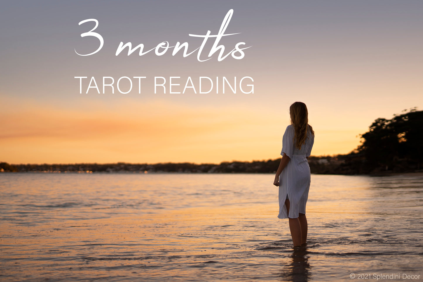 Next 3 Months Tarot Reading