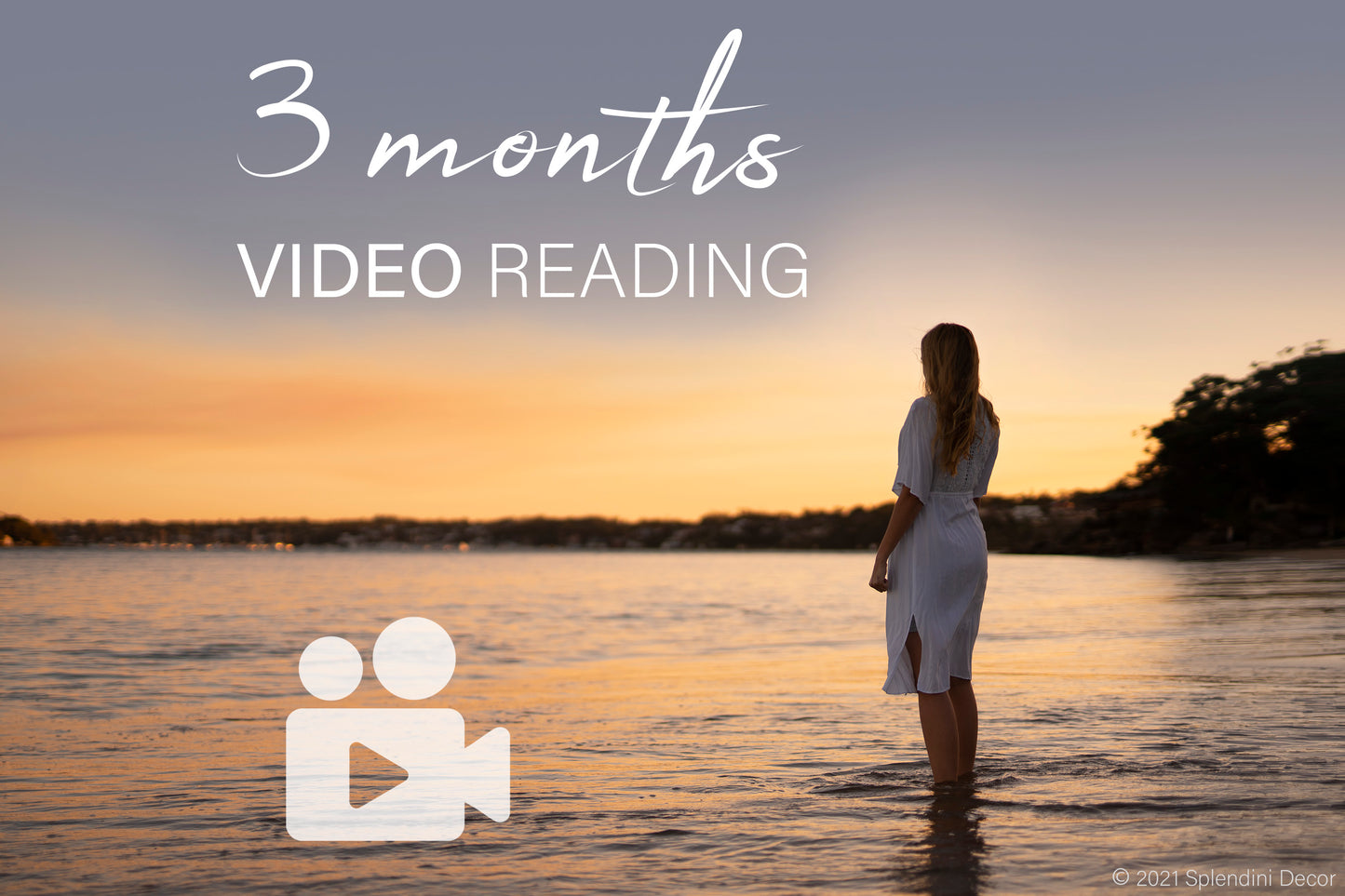 3 months Video Tarot Reading