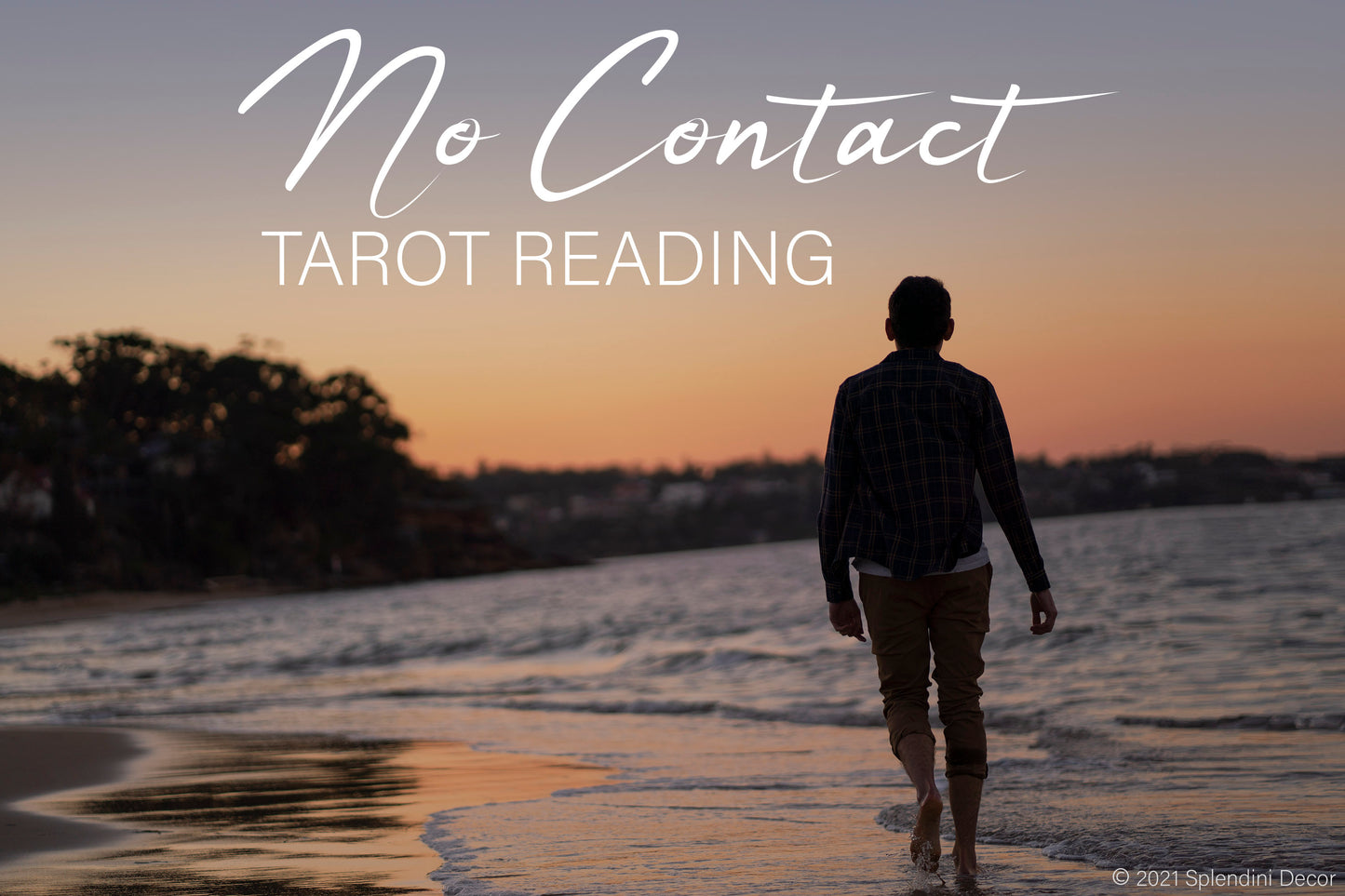 No Contact Tarot Reading