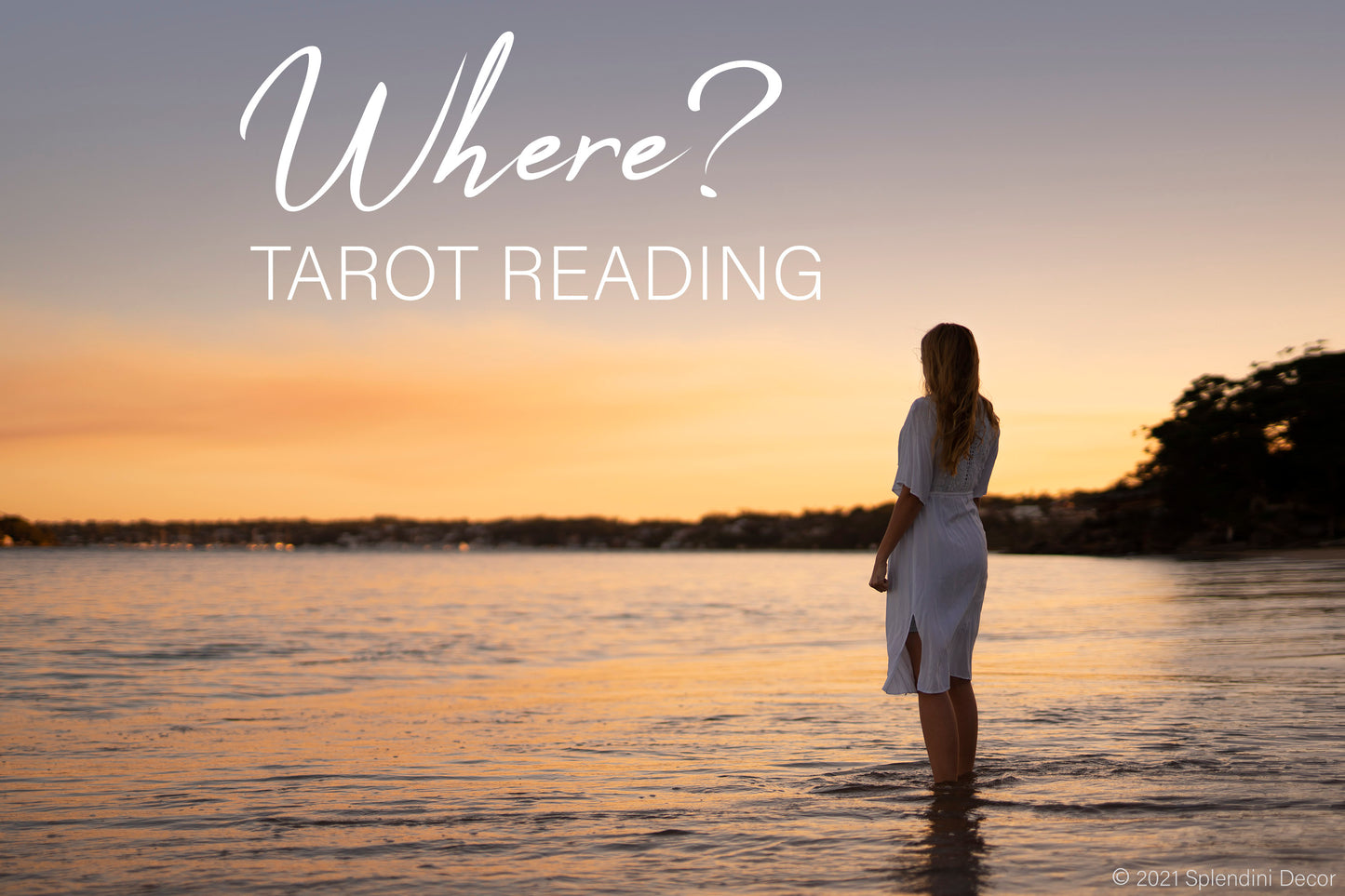 Where...? Tarot Reading